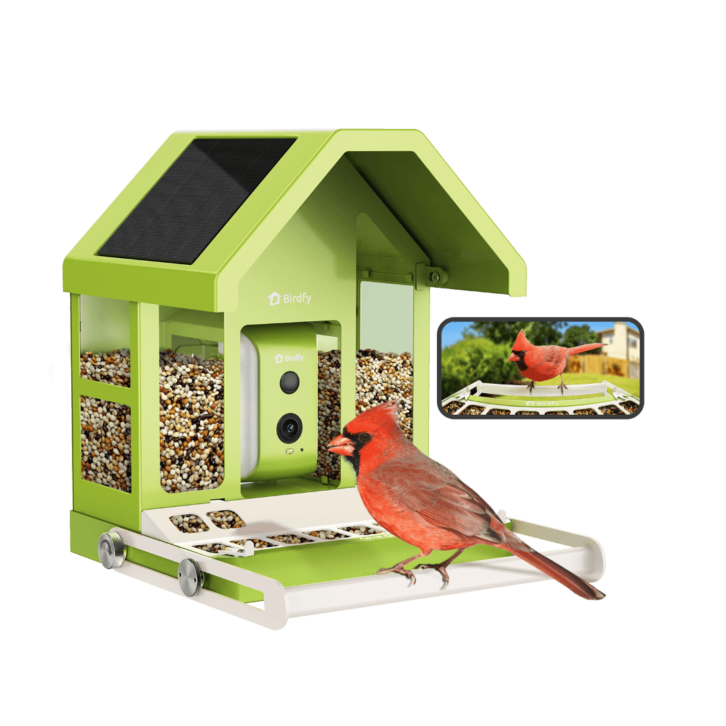 CES 2025 Tech Preview Birdfy Reveals New Birdwatching Tech TWICE