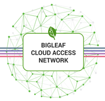Bigleaf Networks image